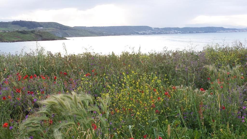B&B I Viaggi Di Edo Crotone Eksteriør bilde